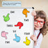 6 Colors Magnetic Finger Pointer for Classroom Kids Reading Dry Erase Magnet for Elementary School White Board Magnets