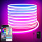 segrass 32.8ft LED neon Lights with Remote APP Control IP65 Waterproof Flexible Neon