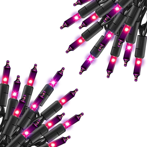 TW SHINE Purple Halloween Lights, 2 Pack 20FT 100 Count Incandescent Halloween