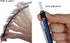 Tombow Mechanical Pencil, Monograph 0.5mm, Neon Green