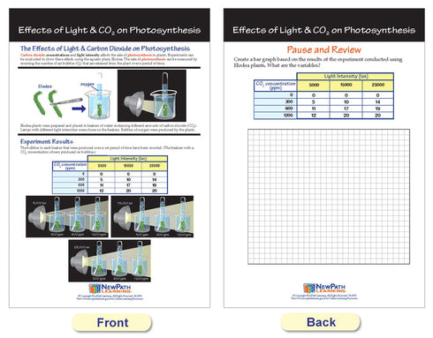NewPath Learning Photosynthesis & Respiration Bulletin Board Charts, Set of 6 - Laminated, Double-Sided, 12" x 18"