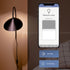 ST1960/FIL/AG 60 Dimmable, ST19 Bulb, 5.4" 2.5" 2100K Feit Electric Watt Equivalent WiFi No Hub Required, Alexa