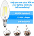 LED Candle Bulbs, 40W Equivalent, E12 Candelabra 4W 470Lm Clear Edison, Daylight White 5000K Classic Bright Filament,