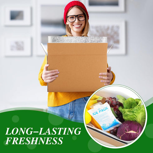 Honoson 2 Frozen Pack Pack Frozen (12'' 10'' 7'') Pcs Thermal Insulated Shipping Boxes for Food with Ice and Aluminum