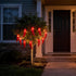 35 Commercial 18 LED Red Chili Pepper Christmas Lights, Grade Home Decorative Lighting String Green Wire FT