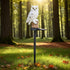 Generic 1 Owl Outdoor Garden Light, Owl Solar Garden Stake Light, Piece Solar Garden Light, Waterproof Warm White LED