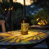 12 Pack Dazzle Bright Solar Pathway Lights Outdoor, LED Warm White Waterproof Solar Powered Landscape Lights