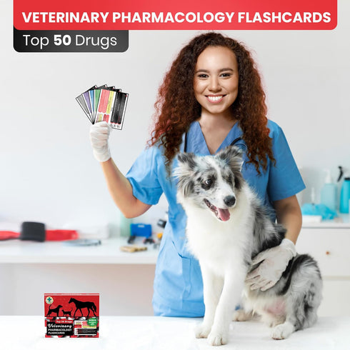 Pharmacology Island 50 Veterinary Pharmacology Flashcards - Top Drugs for Dogs, Cats, and Horses