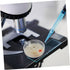 10pcs Glass Culture Dishes for Laboratory Experiments High Transparency Petri Dishes for Microscopic Observations