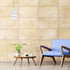 Hanging Glass Lamp Shade Frosted Indoor Ceiling Light Replacement Shade Easy Install Decorative Accessory for Table