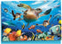 Tree-Free Greetings EcoNotes Notecard Set - 12 Count Sea Turtle and Friends with Envelopes, 4 x 6 Inches (FS66811)
