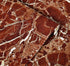 Amhao Marble Self Adhesive Paper 15.7inch x79inch Granite Look Effect Gloss Vinyl Film Wallpaper Kitchen Countertop by Amao