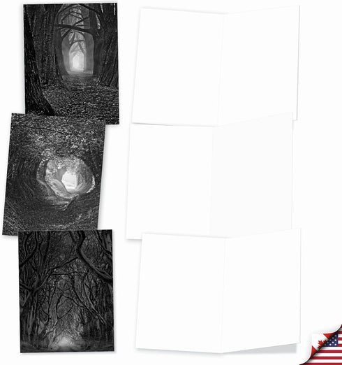 The Best Card Company - 10 Blank Note Cards with Envelopes, 4 x 5.12 Inch, Black & White Photos Set