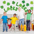 Whaline St. Patrick's Day Shamrock Cut-Outs, Green Clover Classroom Bulletin Board Decoration, 44Pcs