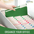 Green File Folders, 1/3-Cut Tabs, Letter Size, 12-Pack, Durable Office Filing Folders for Documents and Papers