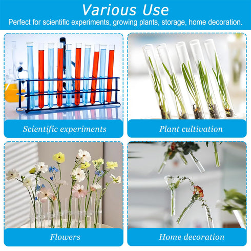 12pcs 35ml Glass Test Tube, 20x150mm Propagation Tubes for Plants, Borosilicate Clear Glass Test Tube Vase