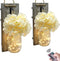 YI LIGHTING Set of 2 - Rustic Wall Sconces - Mason Jars Sconce with