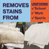 Whip-It All Natural Enzyme Cleaner Stain Fighting Kit, Professional Strength Stain Remover Spray