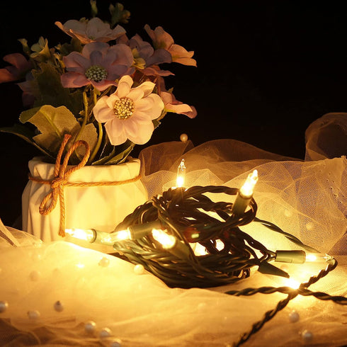 8.6Ft 10 Counts MULTI-SPARKING Christmas Lights Classic Clear Incandescent Mini String Lights Green Wire Warm White