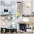 BAOMING G4 LED Bulb 12V JC Type, 20W/35W T3 Halogen Equivalent, 6000K Daylight White, G4 Bi-Pin Base - 10 Pack