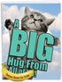 NobleWorks Jumbo Get Well Card - 8.5 x 11 Inch Cat A Big Hug from All of Us, Hospital, Sick J6614AGWG-US