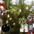 32.8Ft 500LED Fairy Lights Plug in Warm Christmas Wreath Twinkle Lights with Timer Waterproof Remote Firecracker