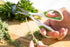 Zyliss Heavy Duty Home & Kitchen Herb Shears Scissors - White/Green, 8.5 x 4.2 x 0.4 inches with Innovative Stem