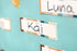Teacher Created Resources Mini Bulletin Board Happy Birthday Everyone is Welcome (TCR7123)