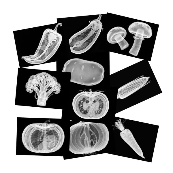 SZREGGIO Vegetable, Fruit and Plant X-Rays, Set of 10, Simulation Specimen, Science Experiment