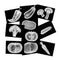 SZREGGIO Vegetable, Fruit and Plant X-Rays, Set of 10, Simulation Specimen, Science Experiment