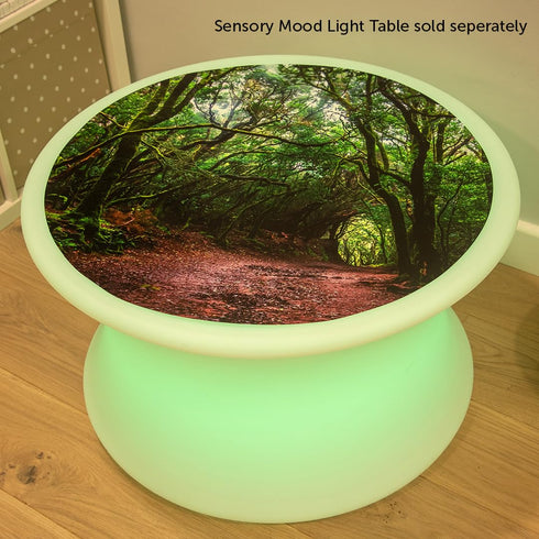 tickit Forest Discovery Play Mat - Semi-Translucent, Woodland Landscape - For All Ages - Light Table Accessory - Small