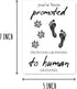 EdgarGifts 5 7 inches You've Been Promoted Card - Dog Grandma To Human Grandma Card - Grandma Card - Pregnancy Card