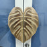 PIAOLGYI Cabinet Handle Leaf Knobs for Milsbo Greenhouse Cabinet,Monstera Glass Door Cabinet Handles Accessory Compatible with IKEA Milsbo Cabinet by PIAOLGYI