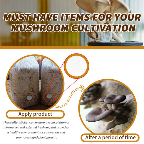 390 Pieces Synthetic Filter Paper Stickers 20 mm PTFE Filter Disc 0.3 µm for Mushroom Cultivation Wide Mouth Jar Lids