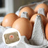 LUTER 2 inch Packaging (500pcs) Farm Fresh Eggs Carton Labels, Colorful Round Farm Fresh Stickers Egg Carton Stickers