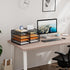 Marbrasse 4 Tier Desktop Literature Organizer, Mesh Paper Organizer for Office Home School, Black