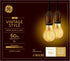 GE Lighting Vintage Style LED Light Bulbs 2 Pack, 6 Watts (60 Watt Equivalent), Warm Candle Light, Amber Glass