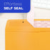 Manilla Envelopes 9x12 Self Seal, 100 PCS Goefun Brown Kraft Large Yellow Envelopes for Mailing - 100GSM