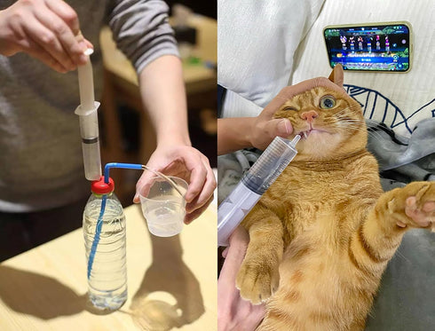 1ml / 1cc Pipette Syringe, 50pcs Plastic Syringes with Luer Slip Tip for Pets Oral, Refilling, Oil or Glue Applicator