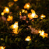 31FT 50 8 Brightown Solar Bee String Lights Outdoor LED Honeybee Fairy Lights with Lighting Modes, Waterproof Solar