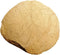 Turtle Egg (stylemys nebraskensis) Reptil Fossil Fossils COPJ46