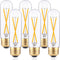 T10 LED Bulbs, 2W Dimmable Tubular, 25 Watt Equivalent, E26 Long Tube Lamp, 2700K Warm White, 6 Pack