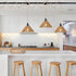 15FT Dimmable Plug in Pendant Light Farmhouse Hanging Lamp Fixtures with Switc Adjustable Height Hanging Light Pendant