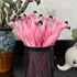 MIAO YUAN 40 PCS Cute Pink Flamingo Gel Pens, Black Ink (0.5mm) Gifts for Child Women Coworkers and School Supplies