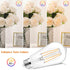 PARTPHONER LED Light Bulbs, 4 Pack, Dimmable Vintage Edison Bulb, E26 60W Equivalent, Warm White 2700K