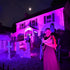4 180 Area(Purple-1Pack) T-SUN Solar Spotlights, LED Solar Waterproof Outdoor Landscape Lights, Auto-on/Auto-Off by