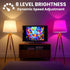 B10 Bulb E26 Bulb 3W B10 Bulb (2-Pack) Luxvista RGB LED Light - Color Changing LED - RGB+Daylight+Warm White