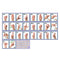 North Star Teacher Resource American Sign Language Alphabet & Number Line Bulletin Board Set