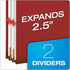 Pendaflex Recycled File Folders, Letter Size, Red (24075R), 2 Dividers, 2" Fasteners, 2/5 Tab Cut, Box of 10
