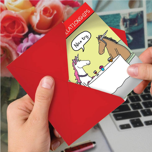 NobleWorks Animal Love Funny Valentine's Day Card with Envelope - Cute Unicorn Relationships C3158VDG